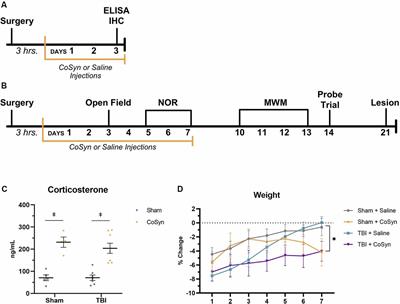 Cosyntropin Attenuates Neuroinflammation in a Mouse Model of Traumatic Brain Injury